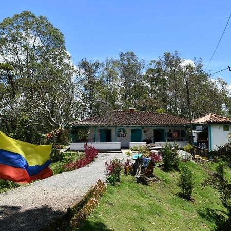 Bacoa Hostel Guatapé Eksteriør billede