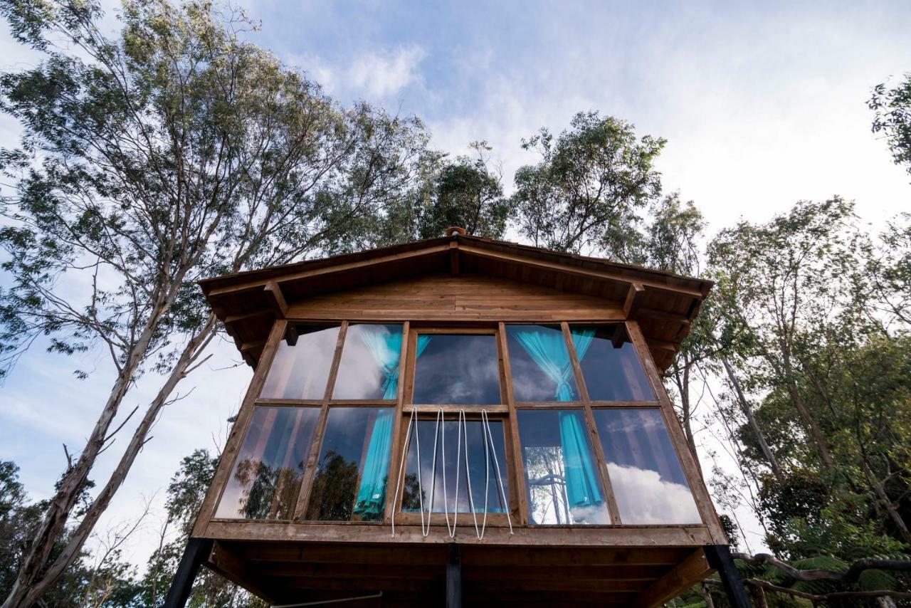 Bacoa Hostel Guatapé Eksteriør billede