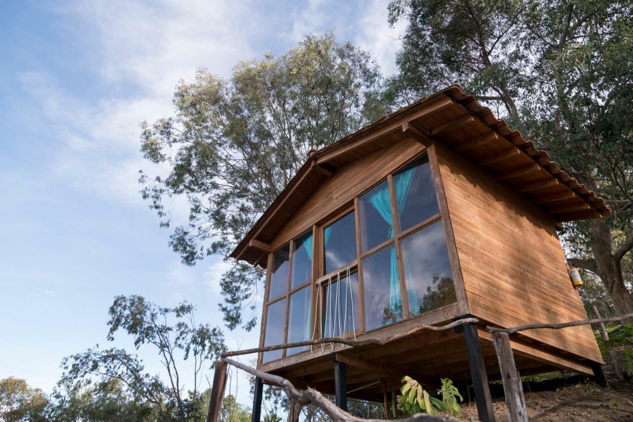 Bacoa Hostel Guatapé Eksteriør billede